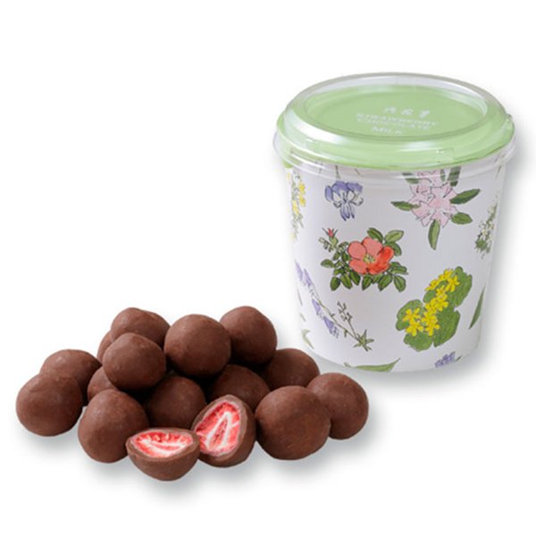 TESOLIFE特搜商城 ROKKATEI STRAWBERRY CHOCOLATE (MILK) 100G