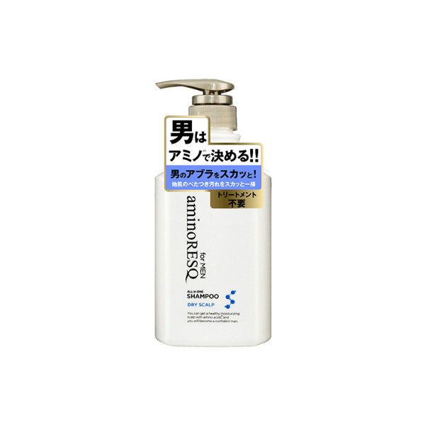 Aminoresq All In One Shampoo For Men Dry Scalp 400ml