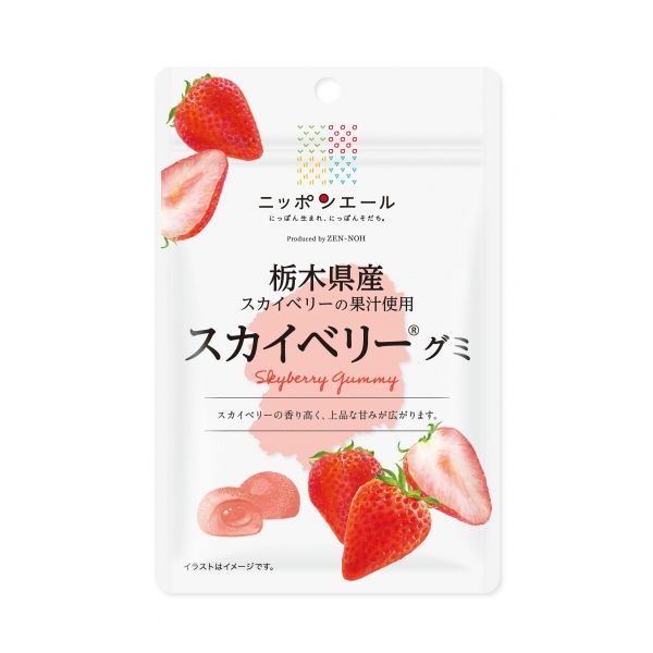 TESOLIFE特搜商城 ZEN-NOH NIPPON ALE SKYBERRY GUMMY 40G