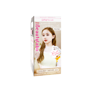 HOYU BEAUTY LABO WHIP SILKY GREIGE HBLWSK
