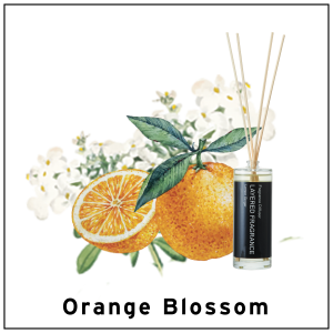 LAYERED FRAGRANCE DIFFUSER ORANGE BLSM