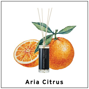 LAYERED FRAGRANCE DIFFUSER ARIA CITRUS