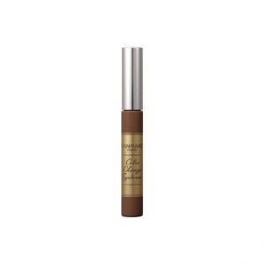 CANMAKE COLOR CHANGE EYEBROW 06