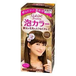 KAO LIESE PRETTIA Bubble Hair Dye Royal Brown 1set