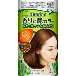 日本KAO/花王Blaune白发专用染发膏纯植物配方 花王遮盖白发