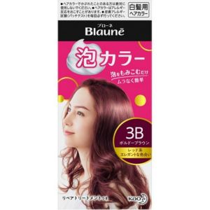 KAO BLAUNE BUBBLE HAIR COLOR 3B T-294