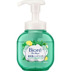 BIORE THE HAND FOAM SOAP BOTANICAL HERB