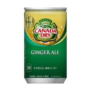 COCA CANADA DRY GINGER ALE CAN 160ML
