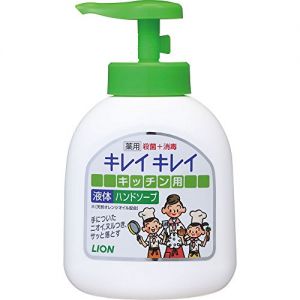 日本LION狮王KIREI KIREI厨房去腥去油洗手液 250ml