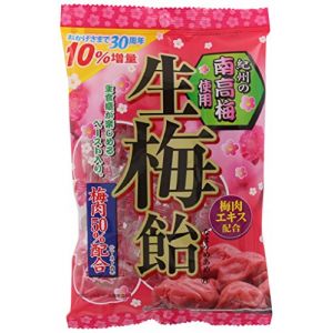 日本RIBON 纪州南高梅生梅糖 110g