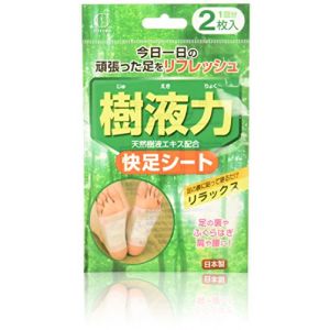 KOKUBO Detox Foot Pads 2pcs