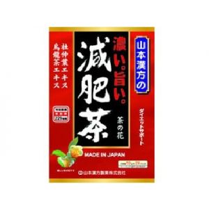 日本YAMAMOTO山本汉方浓郁美味减肥茶 10g*24包