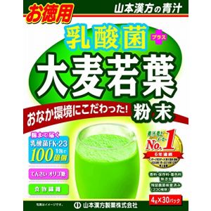 日本YAMAMOTO山本汉方 乳酸菌大麦若叶青汁粉末 30X4g