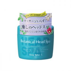 ISHIZAWA HAIR QI INSTIT BTNL HEAD SPA