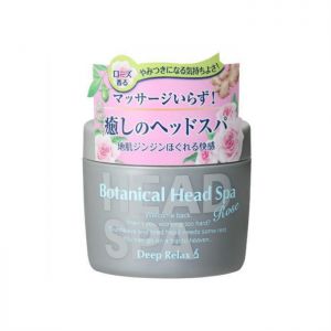 ISHIZAWA HAIR QI INSTIT BTNL HEAD SPA RS