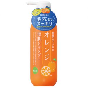 ORANGE SCALP SP N