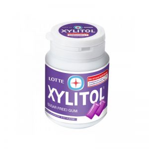 LOTTE XYLITOL BLUEBERRY MINT GUM