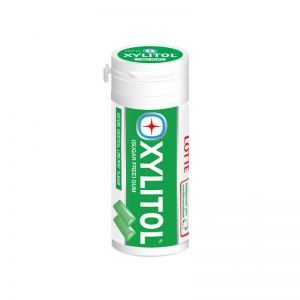 LOTTE XYLITOL LIME MINT GUM