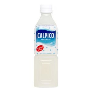 日本Calpis 可尔必思乳酸菌风味饮料原味 16.9oz