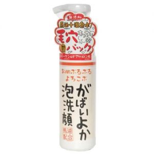 日本ASTY GABAIYOKA关西马油保湿洁面泡沫200ml