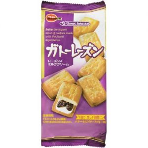 日本BOURBON波路梦 葡萄干饼干 6片