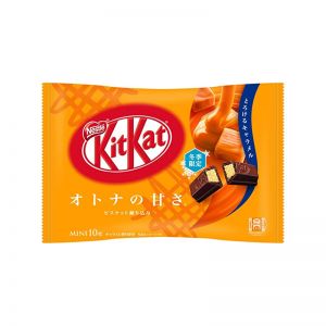 NESTLE KITKAT MINI CHOCOLATE BAR ADULT S