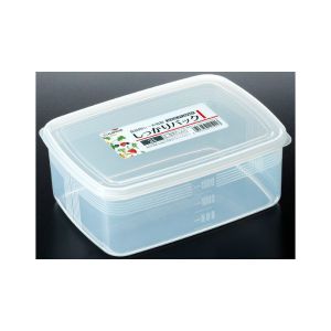 Food Container 6-8 B-67