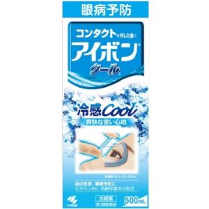 日本KOBAYASHI小林制药眼病预防洗眼液 500ml 多款选